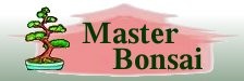 Master Bonsai e forum